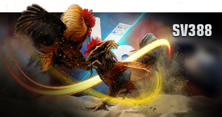 SAMBUNG AYAM